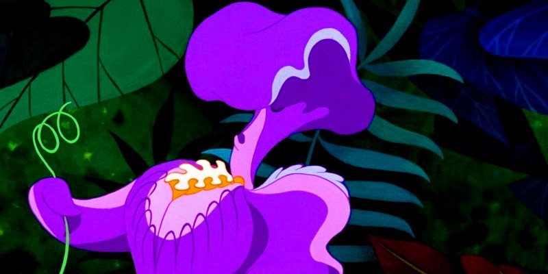 Flowers-alice-in-wonderland-25961563-800-400