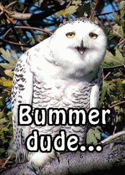bummer – The Animation Commendation