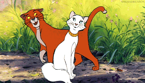 tumblr_lmyartiIPV1qfrbct