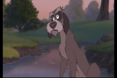 sparkylady andthe tramp