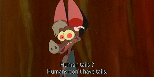 robinwilliamsferngullybattykoda