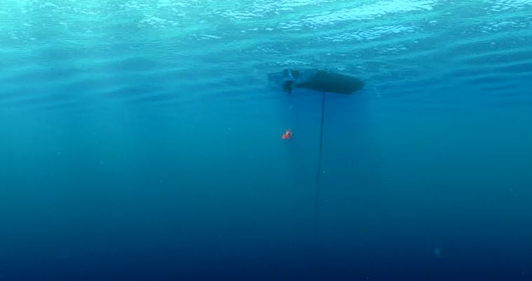 Ah, disobedient children. Don't you just love them?