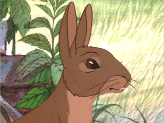 hazelwatershipdown